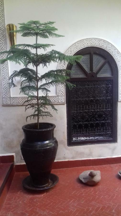 Riad Sidi Ayoub Marrakesch Exterior foto